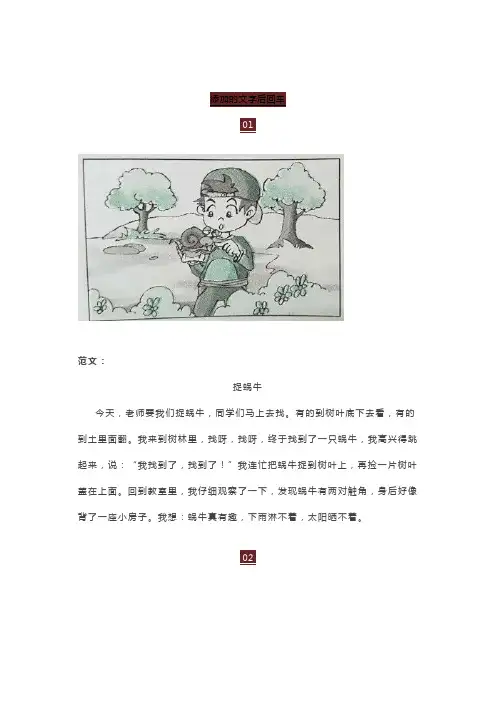 一年级语文下册看图写话范文精选50篇