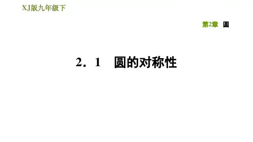 2020-2021学年题湘教版九年级下册数学习题课件  2.1圆的对称性