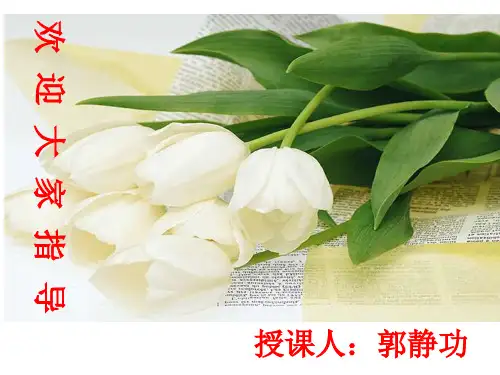 分式的约分公开解析精品PPT课件