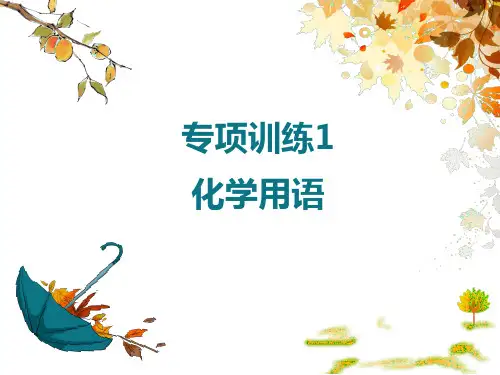 中考化学过关训练 化学用语