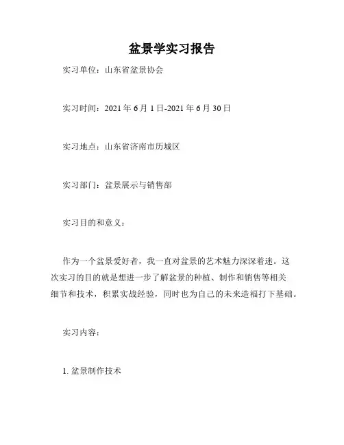 盆景学实习报告