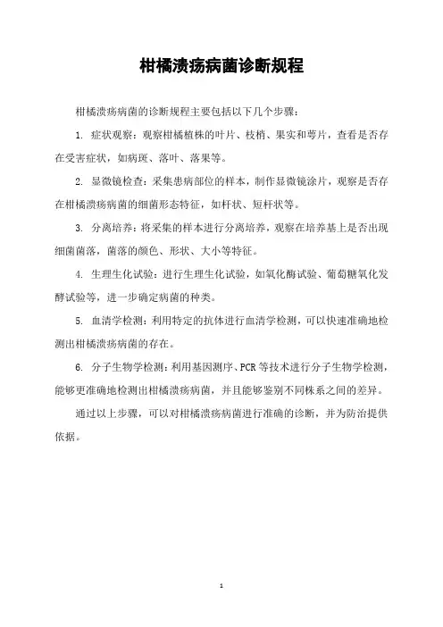 柑橘溃疡病菌诊断规程
