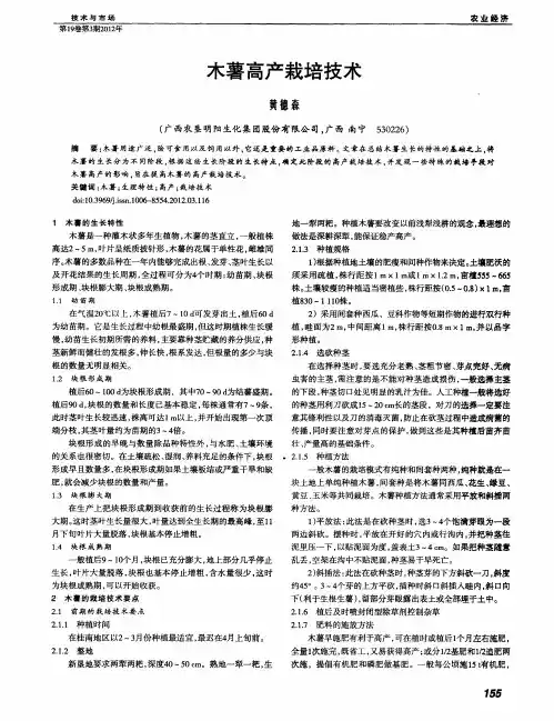 木薯高产栽培技术