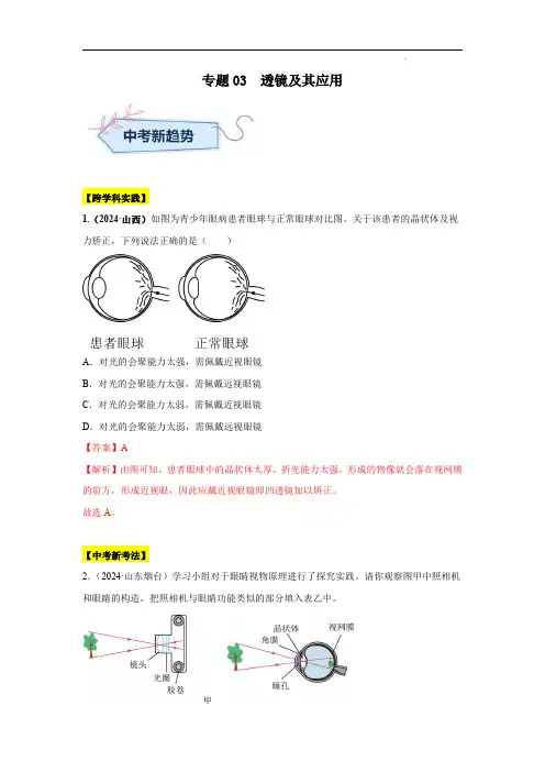 2024年中考物理真题分类汇编(全国通用)专题03  透镜及其应用(第01期)(解析版)