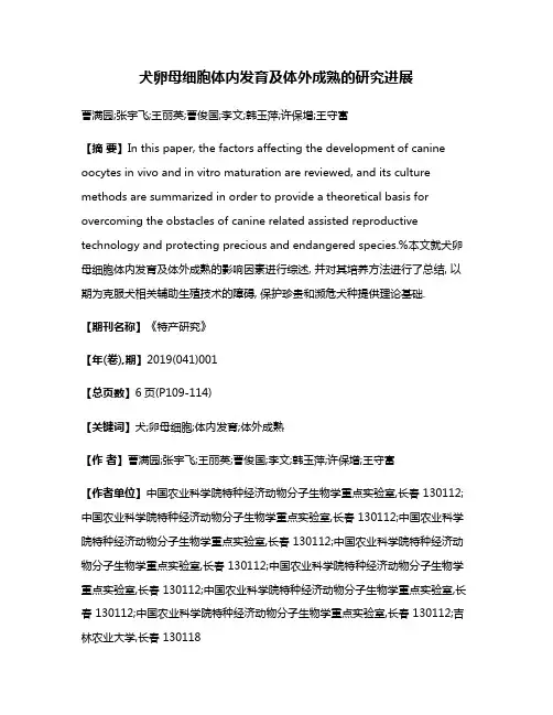 犬卵母细胞体内发育及体外成熟的研究进展