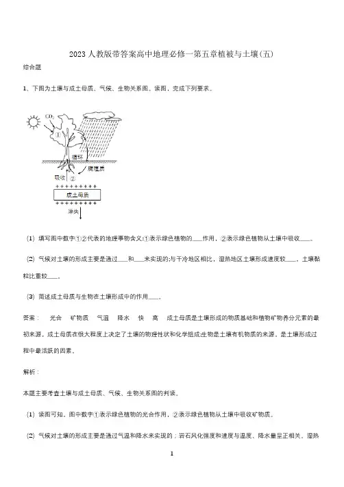 2023人教版带答案高中地理必修一第五章植被与土壤(五)
