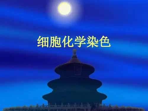 细胞化学染色法