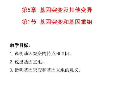 【新教材人教版生物】基因突变和基因重组PPT课件1