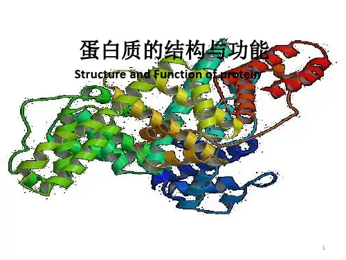 生化论文蛋白质的结构与功能ppt课件