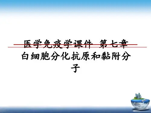 最新医学免疫学课件 第七章 白细胞分化抗原和黏附分子教学讲义PPT课件