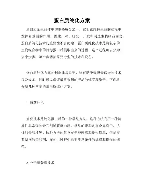 蛋白质纯化方案