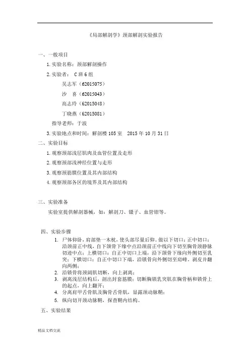 颈部解剖实验报告