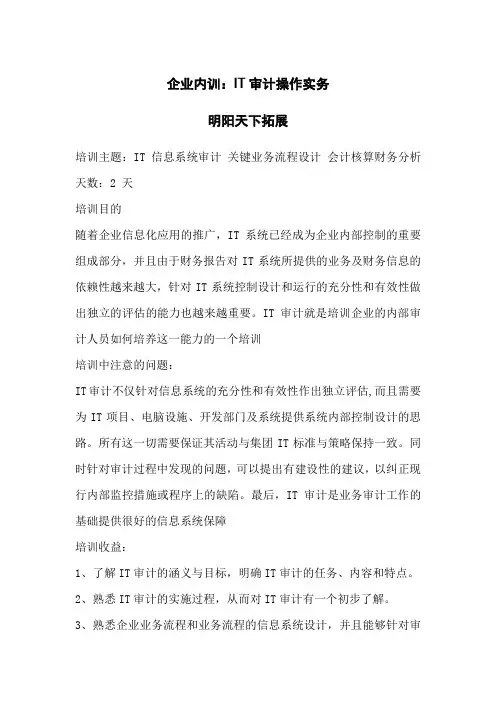 企业内训：IT审计操作实务