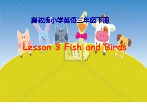 冀教版Unit1Lesson3FishandBirds课件