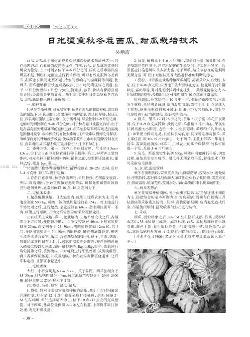 日光温室秋冬茬西瓜、甜瓜栽培技术