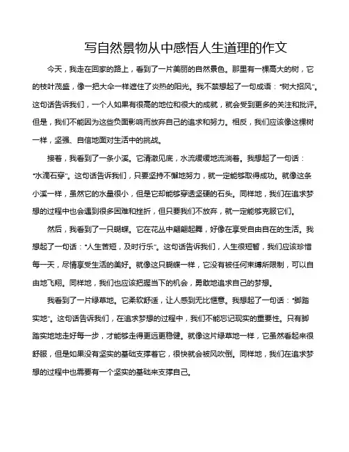 写自然景物从中感悟人生道理的作文