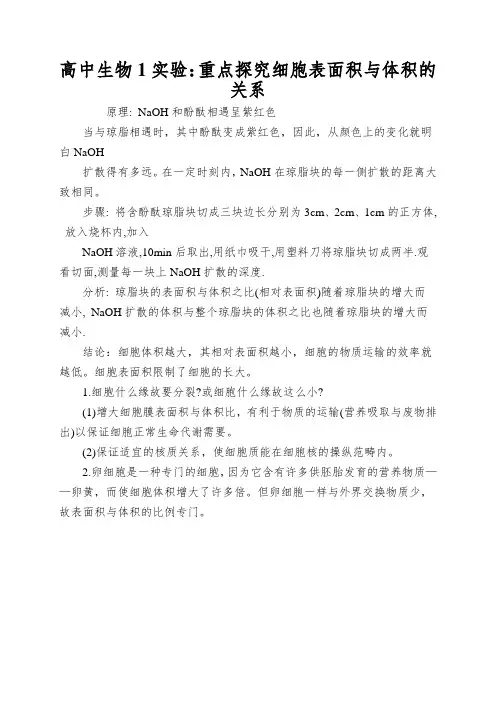 高中生物1实验：重点探究细胞表面积与体积的关系