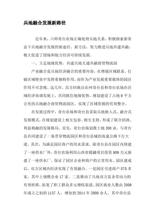 兵地融合发展新路径-2019年文档