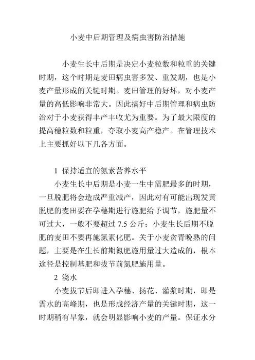 小麦中后期管理及病虫害防治措施