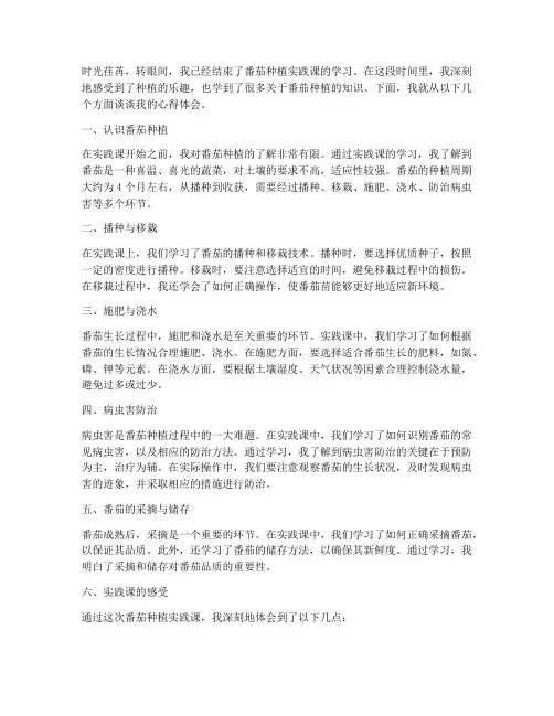 番茄种植实践课心得体会