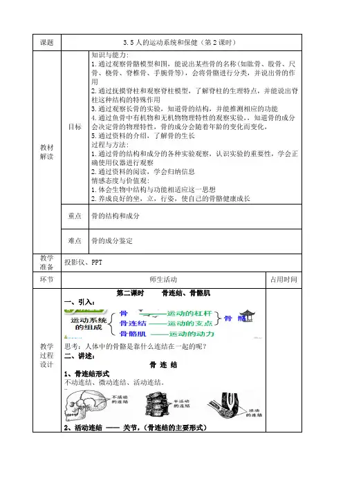 2023-2024学年九年级下册科学浙教版教案 3-5 人的运动系统和保健(第2课时)
