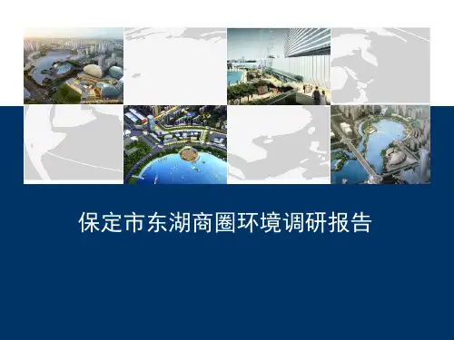 保定东湖商业市场调研报告