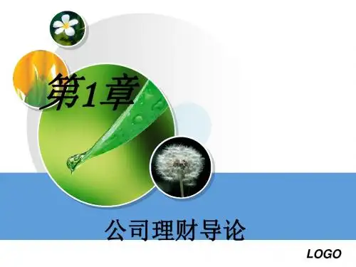 第一章公司理财导论-PPT课件