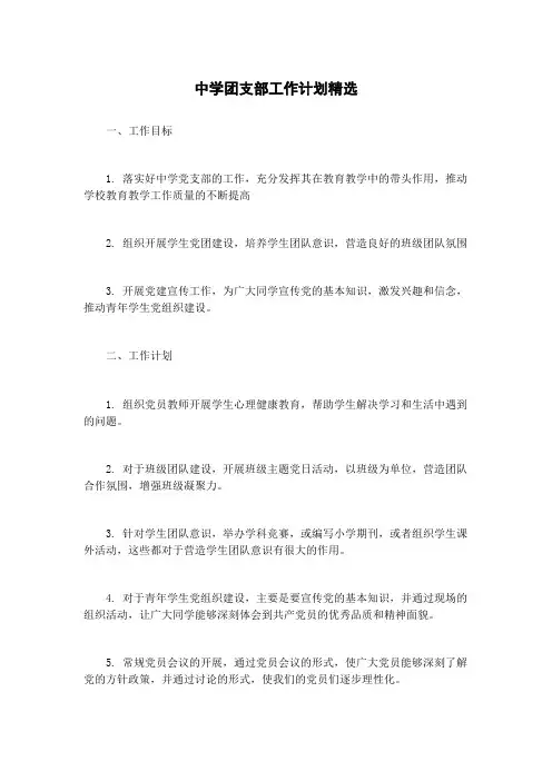 中学团支部工作计划精选