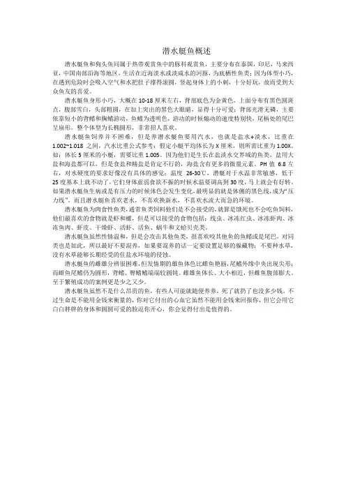 潜水艇鱼概述