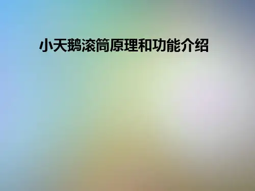 小天鹅滚筒原理和功能介绍