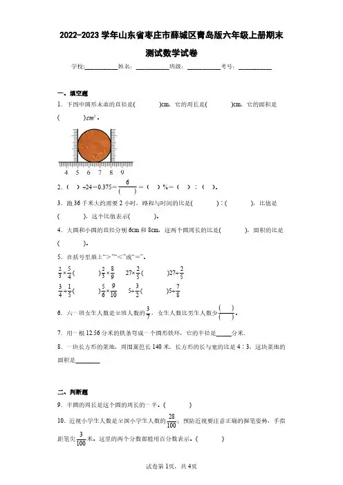2022-2023学年山东省枣庄市薛城区青岛版六年级上册期末测试数学试卷(含答案解析)