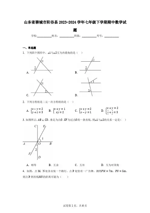 山东省聊城市阳谷县2023-2024学年七年级下学期期中数学试题