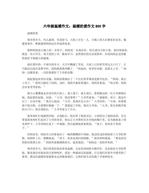六年级温暖作文：温暖的爱作文800字