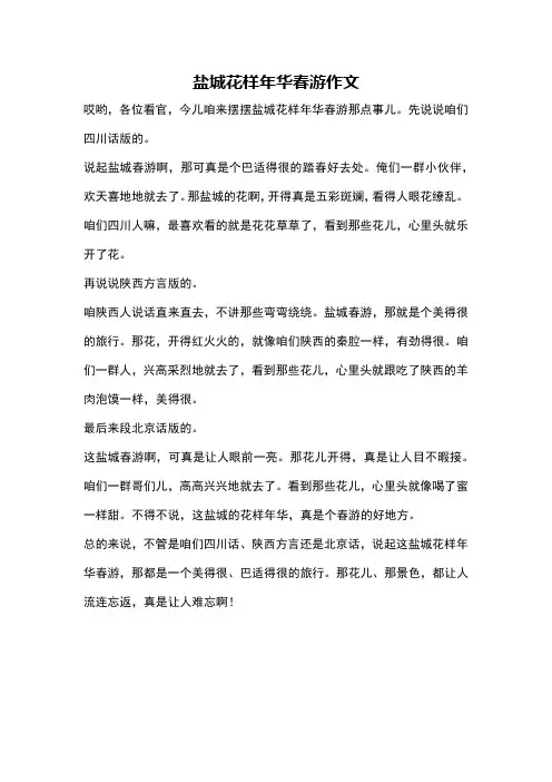 盐城花样年华春游作文
