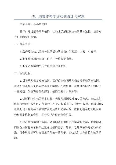 幼儿园集体教学活动的设计与实施
