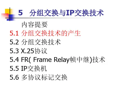 现代交换第5章--分组交换技术及IP技术