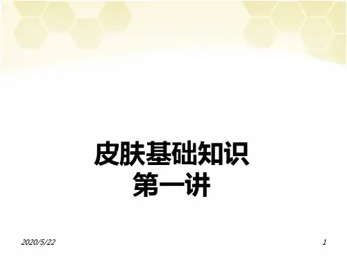 皮肤专业知识PPT课件