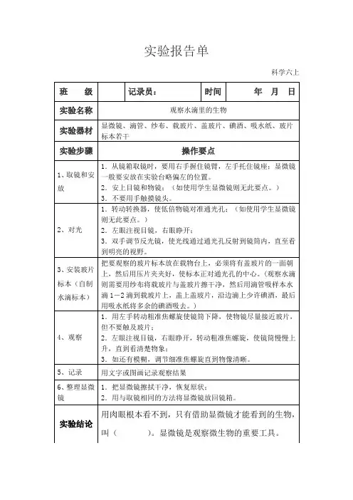 苏教版科学六上 实验报告单