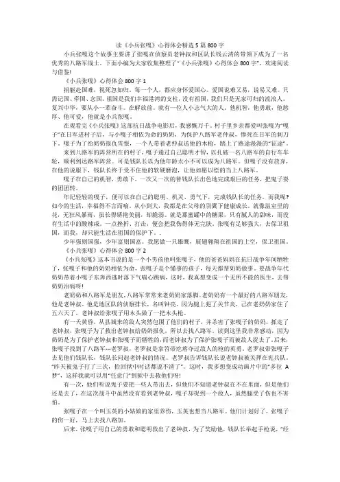 读《小兵张嘎》心得体会精选5篇800字