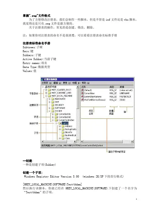 掌握reg文件格式