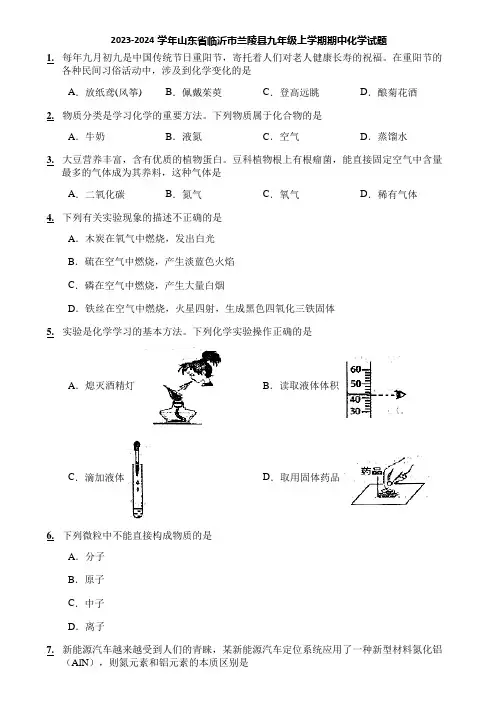 2023-2024学年山东省临沂市兰陵县九年级上学期期中化学试题