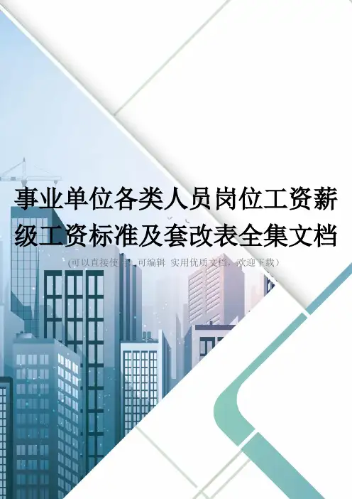 事业单位各类人员岗位工资薪级工资标准及套改表全集文档