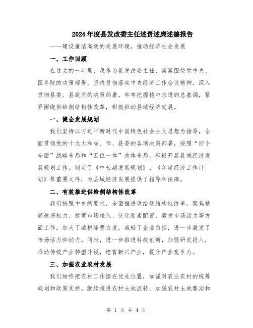 2024年度县发改委主任述责述廉述德报告