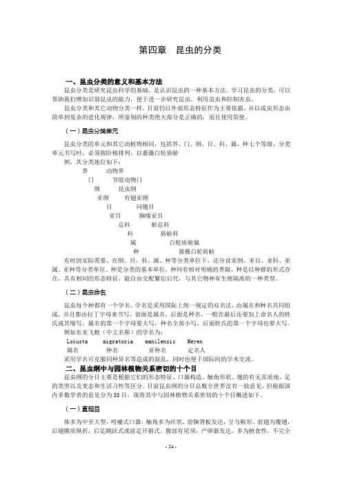 昆虫的分类