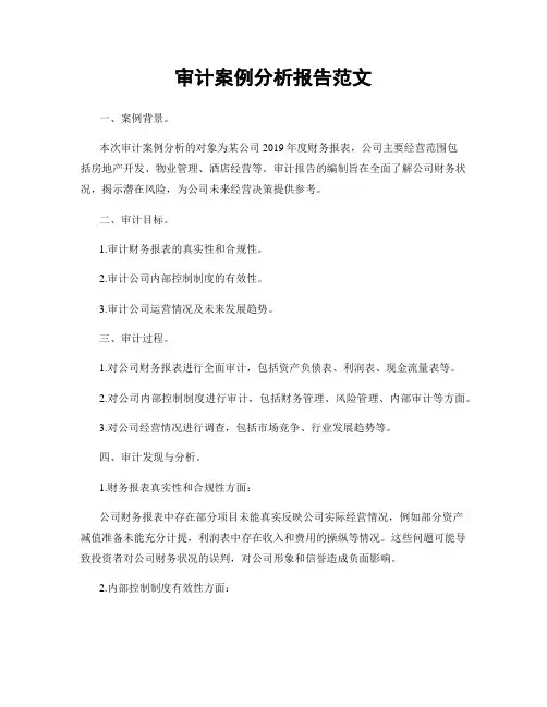 审计案例分析报告范文