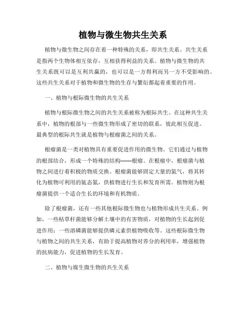植物与微生物共生关系