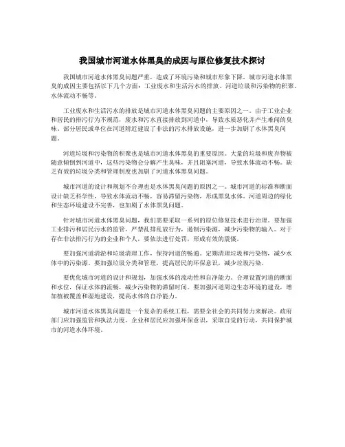 我国城市河道水体黑臭的成因与原位修复技术探讨