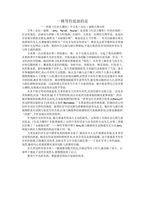 一株等待绽放的花——美剧《生活大爆炸》中艾米人物分析
