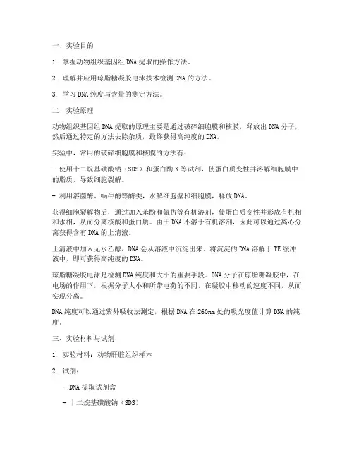 动物基因提取实验报告