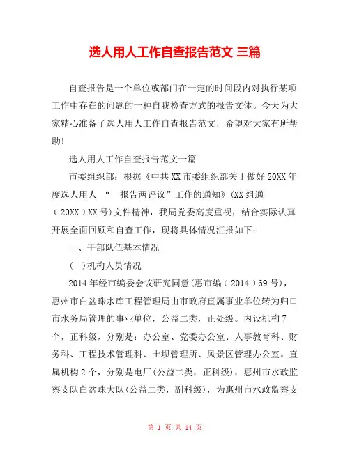 选人用人工作自查报告范文 三篇